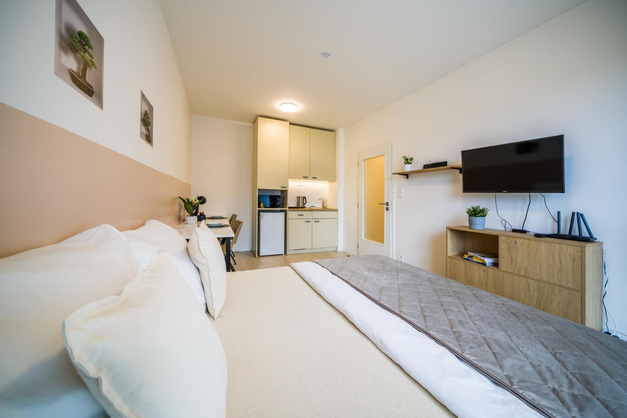 Street Apartments Brno Center Екстер'єр фото